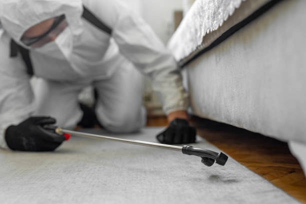 Professional Termite Control technician working in Weaver, AL