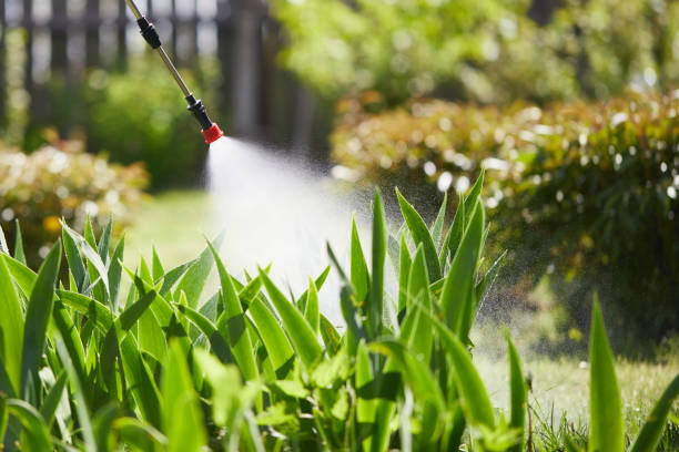 24/7 Emergency Termite Control experts in Weaver, AL