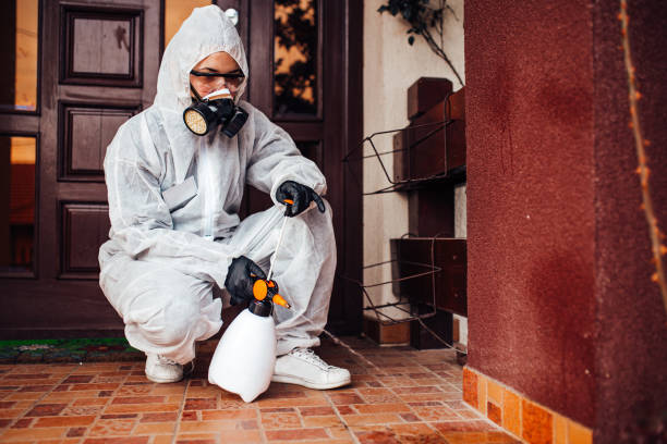 Reliable Termite Control contractor in Weaver, AL by Nex Pest Control