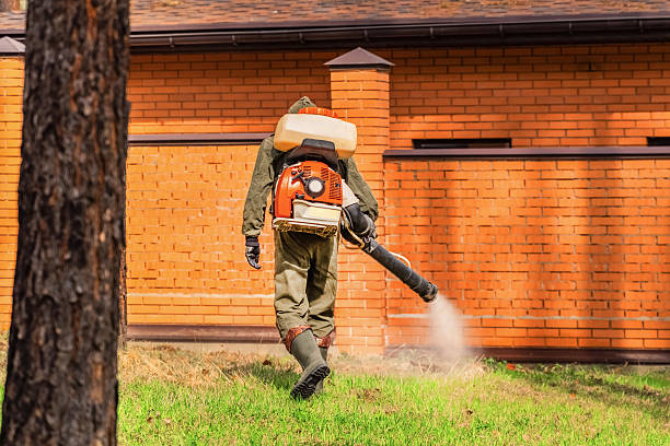 Top rated local Termite Control specialists in Weaver, AL